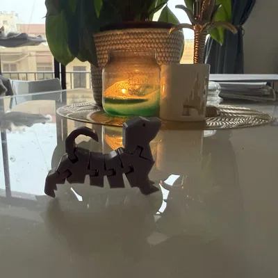 Bộ sưu tập mô hình 3D Flexi Doggo và Flexi Catty linh hoạt