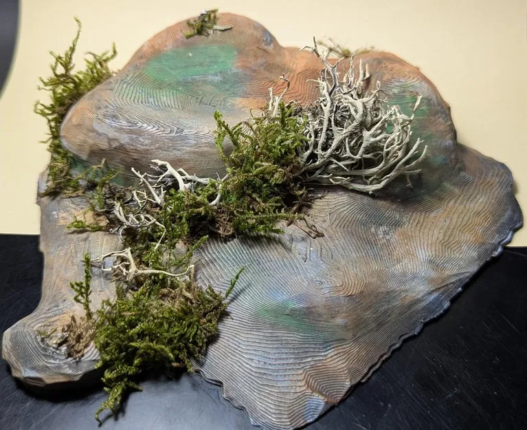 Bộ sưu tập Địa hình (Terrain Collection) cho D&D / TTRPG - Image 1