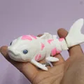 Mô hình cá Koi 3D khớp nối linh hoạt - Tự in và sáng tạo - Thumbnail 4