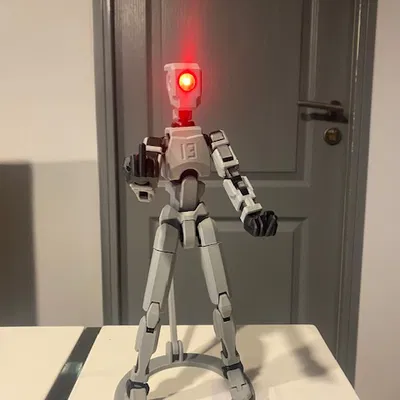 Đầu Dummy 13 gắn đèn LED