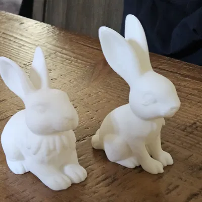 Bộ sưu tập mô hình 3D thỏ trang trí (Garden Bunnies) dễ thương