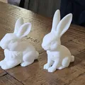 Bộ sưu tập mô hình 3D thỏ trang trí (Garden Bunnies) dễ thương - Thumbnail 5