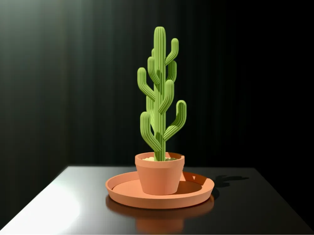 Cây xương rồng treo trang sức (Jewelry Cactus) 1