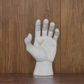 Mô hình bàn tay người 12cm - Phụ kiện trang trí nghệ thuật cực chất - Thumbnail 1