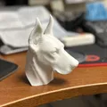 Mô hình tượng Doberman Bust - Thumbnail 3