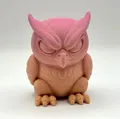 Mô hình chú cú Grumpy Owl dễ thương - Thumbnail 1