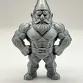 Chú Lùn Lực Lưỡng - Guardian of Gains Gnome! - Thumbnail 2