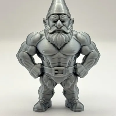 Chú Lùn Lực Lưỡng - Guardian of Gains Gnome!