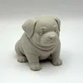 Mô hình chú cún mũm mĩm Chubby Puppy - Thumbnail 1