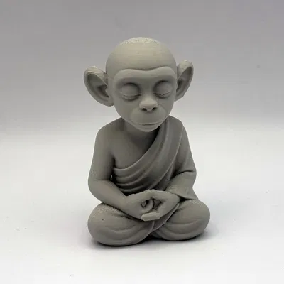 Khỉ Thiền Zen Monkey Monk