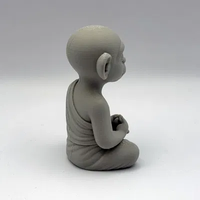 Khỉ Thiền Zen Monkey Monk