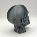 Đầu lâu xác sống Zombie Skull - Thumbnail 3