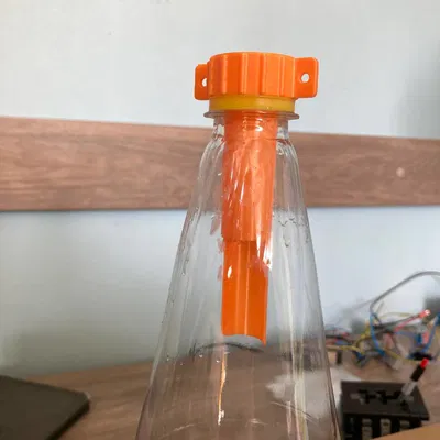 Bẫy côn trùng, ong bắp cày, ong vàng gắn miệng chai