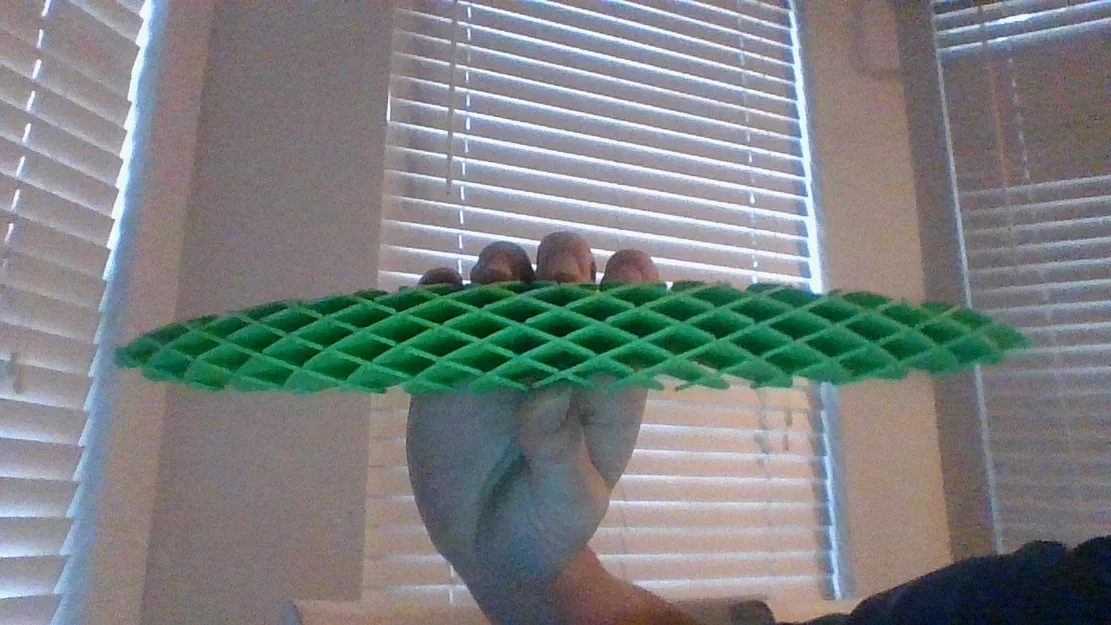 Mô hình đồ chơi xả stress REAL Morf Worm in 3D - Image 2