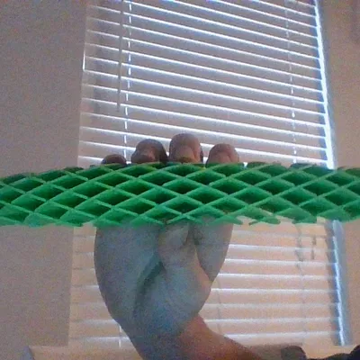 Mô hình đồ chơi xả stress REAL Morf Worm in 3D