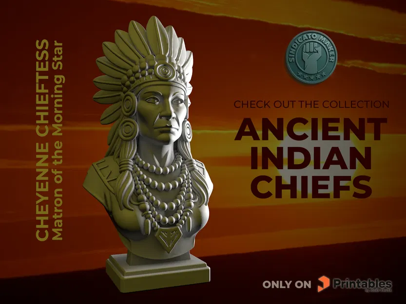 Mô hình 3D Nữ thủ lĩnh bộ tộc Cheyenne: Matron of the Morning Star - Image 1