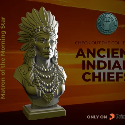 Mô hình 3D Nữ thủ lĩnh bộ tộc Cheyenne: Matron of the Morning Star