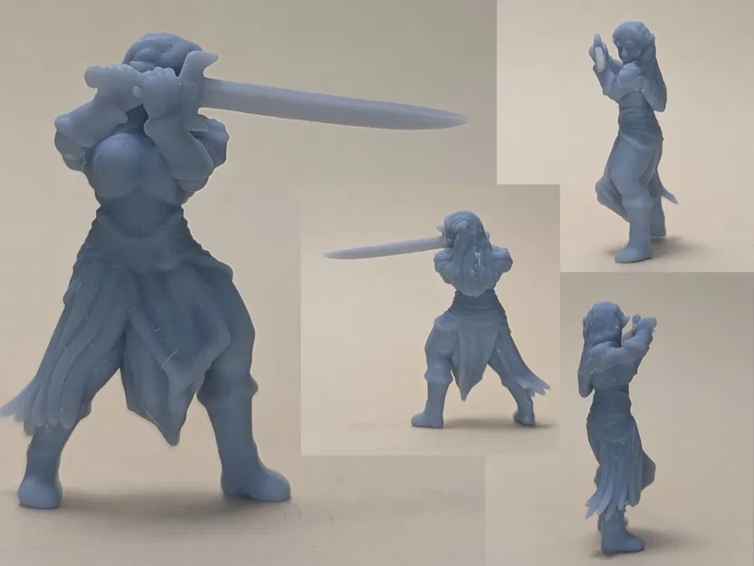 Nữ chiến binh Elf (DND / TTRPG) - Image 1