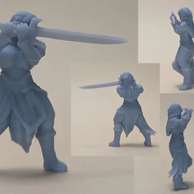 Nữ chiến binh Elf (DND / TTRPG)