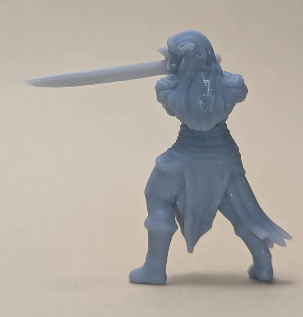 Nữ chiến binh Elf (DND / TTRPG) - Image 3