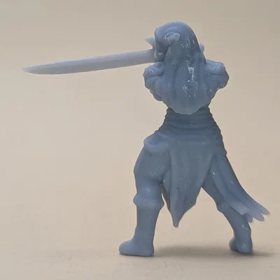 Nữ chiến binh Elf (DND / TTRPG)