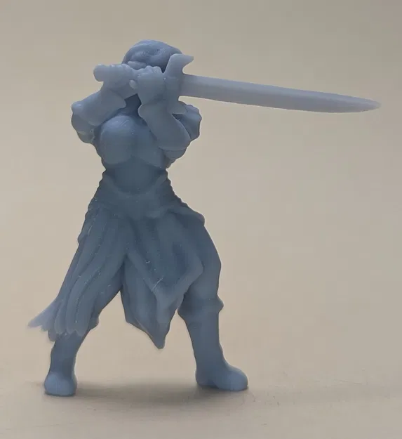 Nữ chiến binh Elf (DND / TTRPG) - Image 4