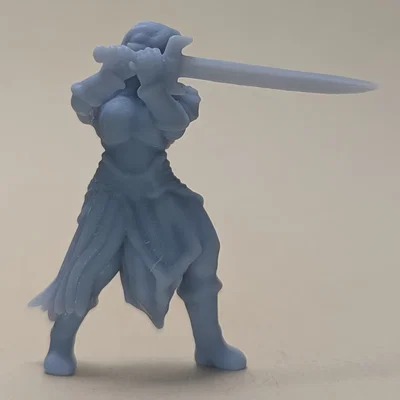 Nữ chiến binh Elf (DND / TTRPG)