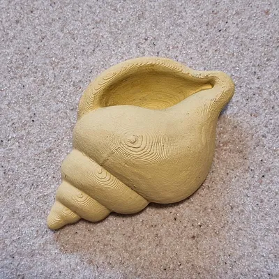 Nam châm ốc biển xoắn 3D trang trí tủ lạnh siêu xinh