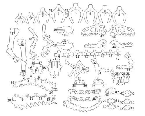 Mô hình lắp ráp khủng long 3D Puzzle Alasaurus độc đáo - Image 6
