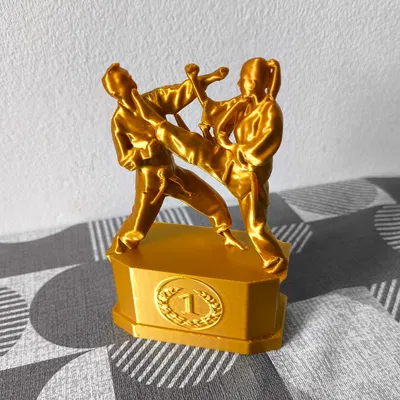Tượng thưởng giải đấu Karate - Hạng 1, 2 & 3