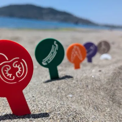 Bộ Thẻ Cắm Vườn (Gardening Markers)