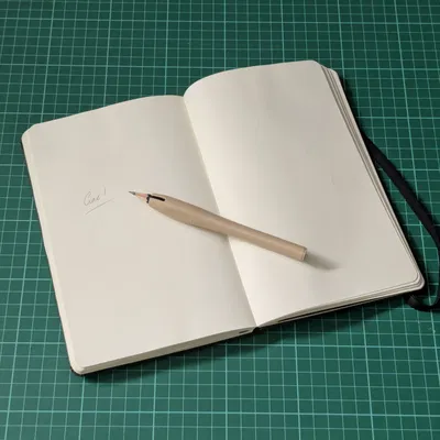 Đầu nối bút chì (Pencil extender)