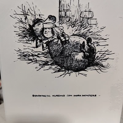 Hue Forge - Tranh in Thelwell cô bé chăm sóc ngựa