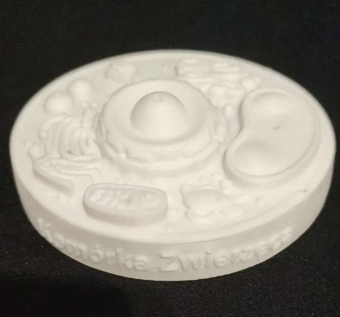 Mô hình tế bào động vật (Animal cell) cho học tập - Image 6