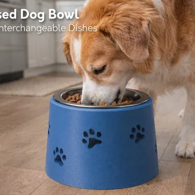 Kệ Đựng Bát Ăn Cho Chó với Khay Thay Thế Linh Hoạt