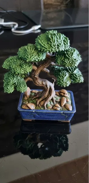 ZenLith – Bonsai Nghệ Thuật Đầy Tinh Tế - Image 2