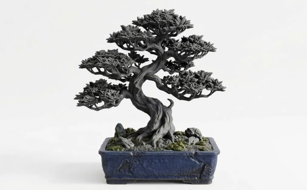 ZenLith – Bonsai Nghệ Thuật Đầy Tinh Tế - Image 3