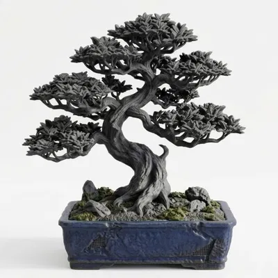 ZenLith – Bonsai Nghệ Thuật Đầy Tinh Tế