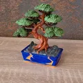 ZenLith – Bonsai Nghệ Thuật Đầy Tinh Tế - Thumbnail 4