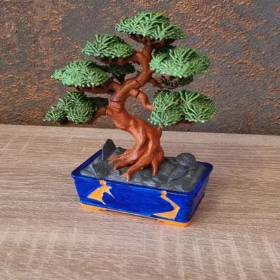 ZenLith – Bonsai Nghệ Thuật Đầy Tinh Tế