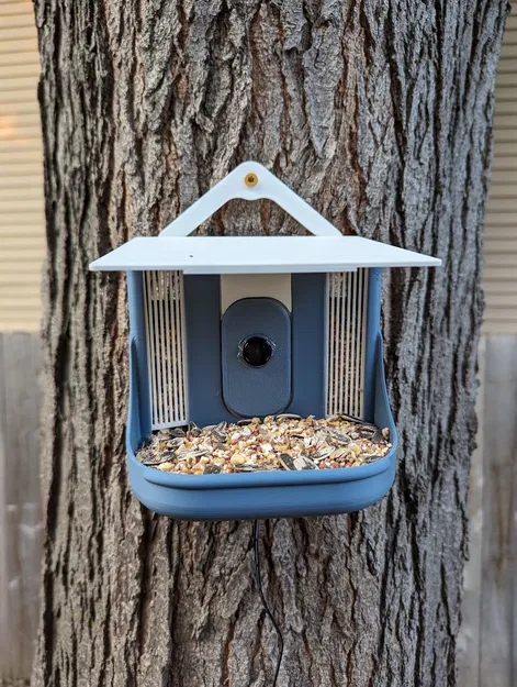 BirdBrain: Trạm cho chim ăn thông minh - DIY Bird Buddy - Image 1