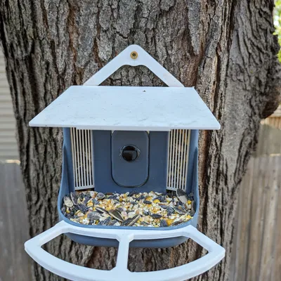 BirdBrain: Trạm cho chim ăn thông minh - DIY Bird Buddy