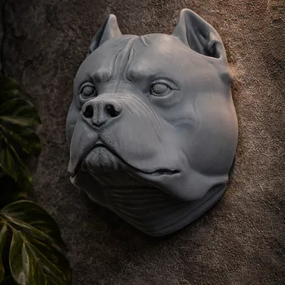 Mô hình trang trí treo tường đầu chó American Bully in 3D