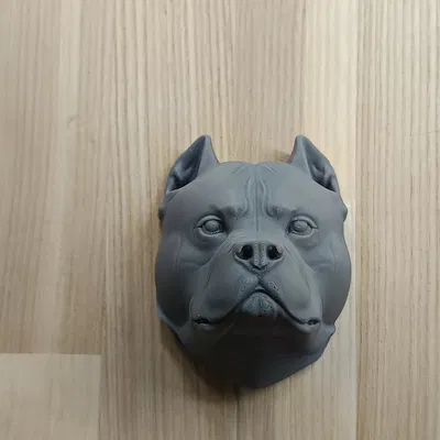 Mô hình trang trí treo tường đầu chó American Bully in 3D