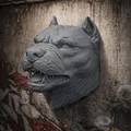 Mô hình treo tường đầu chó Pitbull cực chất trang trí nhà cửa - Thumbnail 1