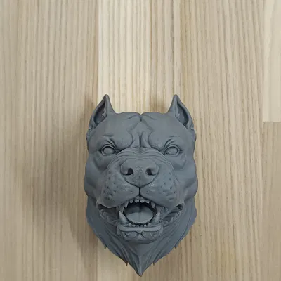 Mô hình treo tường đầu chó Pitbull cực chất trang trí nhà cửa