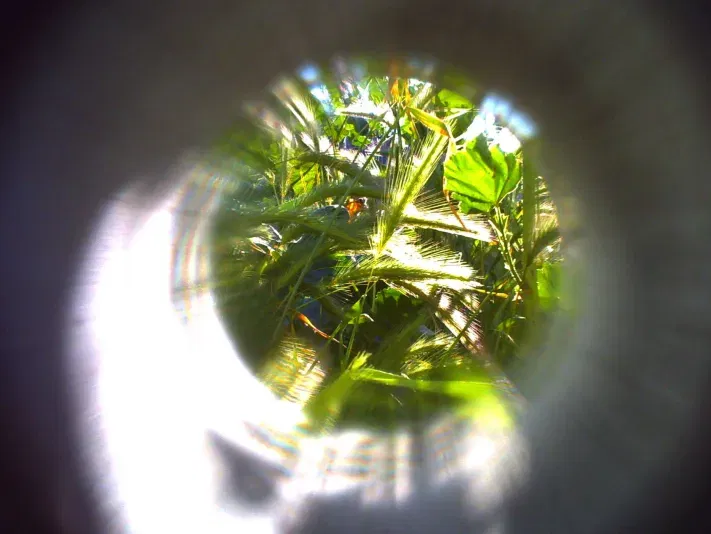 Ngàm chuyển ống kính và khung ngắm thay thế cho Digital Harinezumi - Image 7