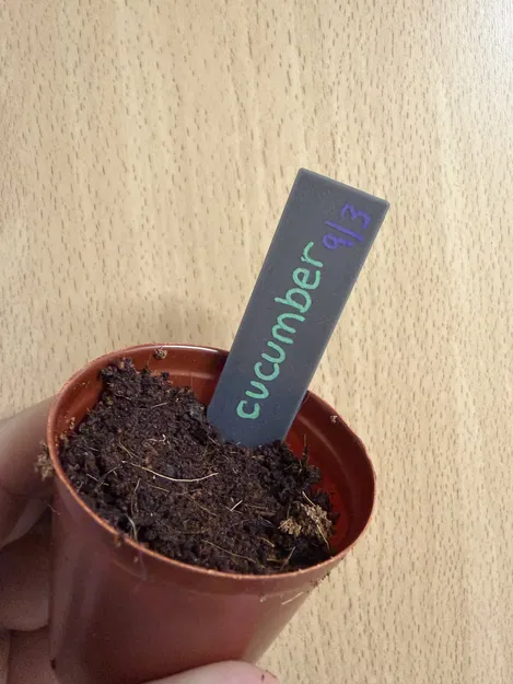 Thẻ cắm chậu cây phong cách tối giản - Image 1