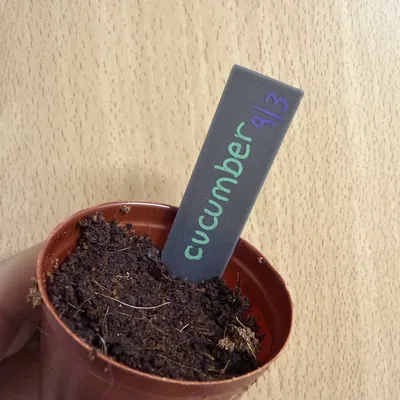 Thẻ cắm chậu cây phong cách tối giản