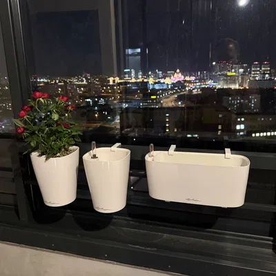 Bộ giá treo chậu cây Lechuza Deltini/Delta - Giải pháp treo chậu ban công